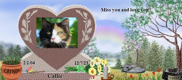 Callie's Rainbow Bridge Pet Loss Memorial Residency Image