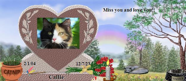 Callie's Rainbow Bridge Pet Loss Memorial Residency Image