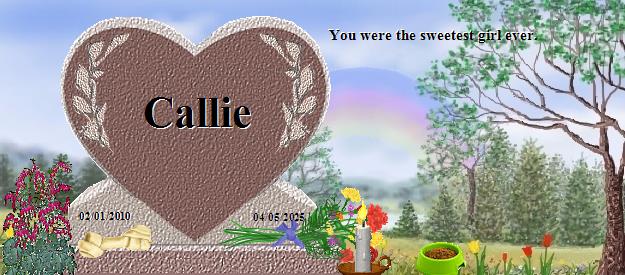 Callie's Rainbow Bridge Pet Loss Memorial Residency Image