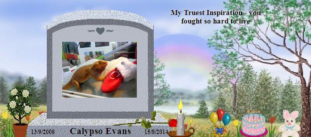 Calypso Evans's Rainbow Bridge Pet Loss Memorial Residency Image