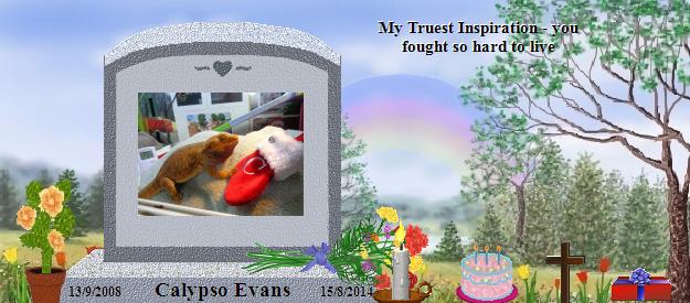Calypso Evans's Rainbow Bridge Pet Loss Memorial Residency Image