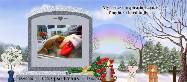 Calypso Evans's Rainbow Bridge Pet Loss Memorial Residency Image