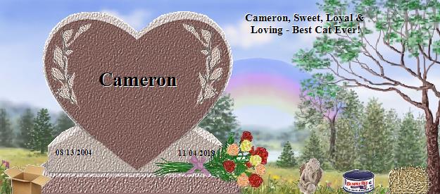 Cameron's Rainbow Bridge Pet Loss Memorial Residency Image