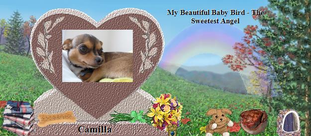 Camilla's Rainbow Bridge Pet Loss Memorial Residency Image