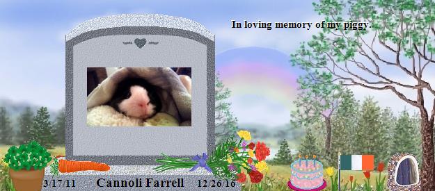 Cannoli Farrell's Rainbow Bridge Pet Loss Memorial Residency Image
