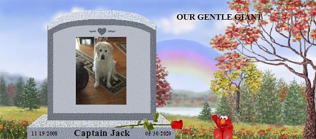 Captain Jack's Rainbow Bridge Pet Loss Memorial Residency Image