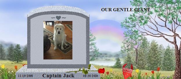 Captain Jack's Rainbow Bridge Pet Loss Memorial Residency Image