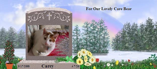 Carey's Rainbow Bridge Pet Loss Memorial Residency Image