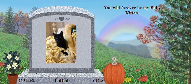 Carla's Rainbow Bridge Pet Loss Memorial Residency Image