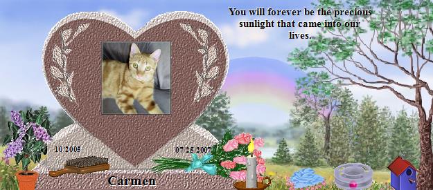 Carmen's Rainbow Bridge Pet Loss Memorial Residency Image