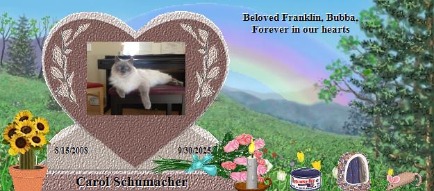Carol Schumacher's Rainbow Bridge Pet Loss Memorial Residency Image