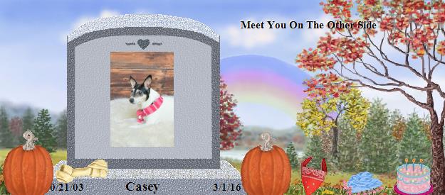 Casey's Rainbow Bridge Pet Loss Memorial Residency Image