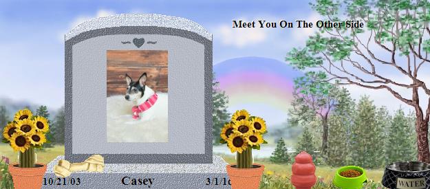 Casey's Rainbow Bridge Pet Loss Memorial Residency Image