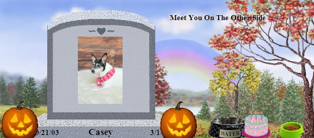 Casey's Rainbow Bridge Pet Loss Memorial Residency Image