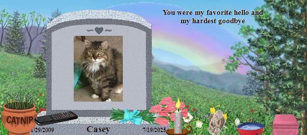 Casey's Rainbow Bridge Pet Loss Memorial Residency Image
