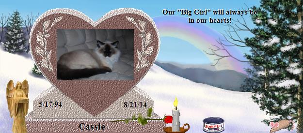 Cassie's Rainbow Bridge Pet Loss Memorial Residency Image