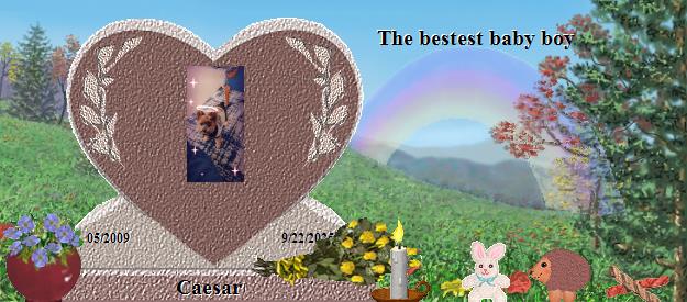 Caesar's Rainbow Bridge Pet Loss Memorial Residency Image