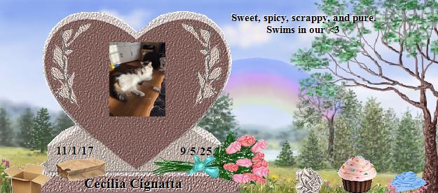 Cecilia Cignatta's Rainbow Bridge Pet Loss Memorial Residency Image