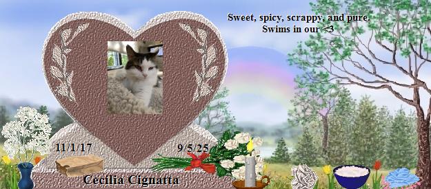 Cecilia Cignatta's Rainbow Bridge Pet Loss Memorial Residency Image