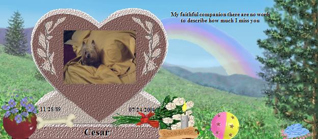 Cesar's Rainbow Bridge Pet Loss Memorial Residency Image