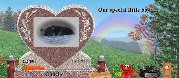 Chache's Rainbow Bridge Pet Loss Memorial Residency Image