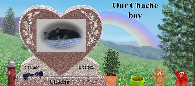 Chache's Rainbow Bridge Pet Loss Memorial Residency Image