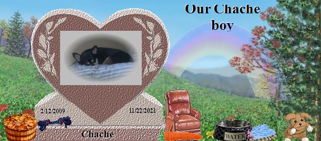 Chache's Rainbow Bridge Pet Loss Memorial Residency Image