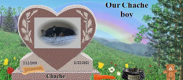 Chache's Rainbow Bridge Pet Loss Memorial Residency Image