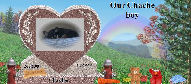 Chache's Rainbow Bridge Pet Loss Memorial Residency Image