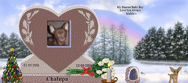 Chalupa's Rainbow Bridge Pet Loss Memorial Residency Image