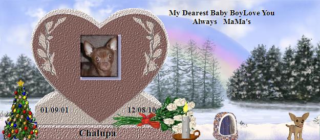 Chalupa's Rainbow Bridge Pet Loss Memorial Residency Image
