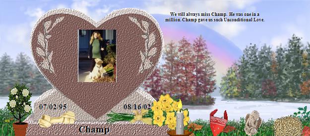 Champ's Rainbow Bridge Pet Loss Memorial Residency Image