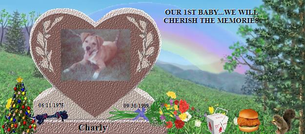 Charly's Rainbow Bridge Pet Loss Memorial Residency Image