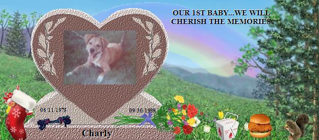 Charly's Rainbow Bridge Pet Loss Memorial Residency Image