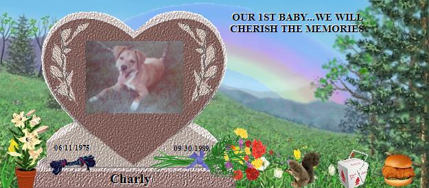Charly's Rainbow Bridge Pet Loss Memorial Residency Image