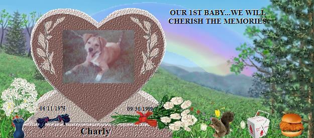Charly's Rainbow Bridge Pet Loss Memorial Residency Image