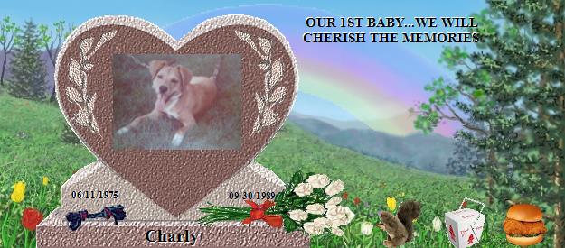 Charly's Rainbow Bridge Pet Loss Memorial Residency Image