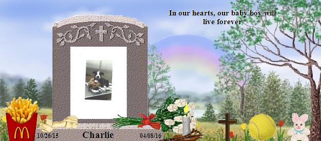 Charlie's Rainbow Bridge Pet Loss Memorial Residency Image