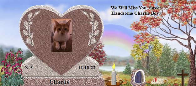 Charlie's Rainbow Bridge Pet Loss Memorial Residency Image