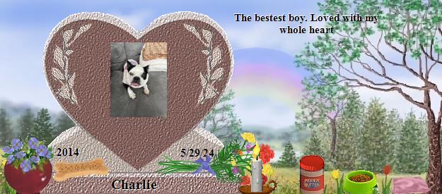 Charlie's Rainbow Bridge Pet Loss Memorial Residency Image