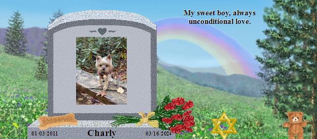 Charly's Rainbow Bridge Pet Loss Memorial Residency Image