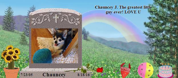 Chauncey's Rainbow Bridge Pet Loss Memorial Residency Image