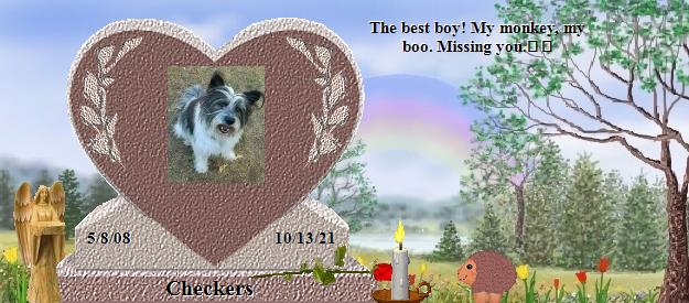Checkers's Rainbow Bridge Pet Loss Memorial Residency Image