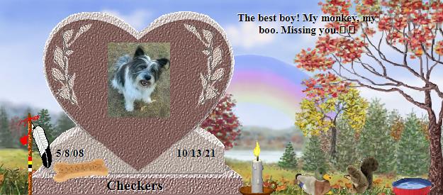 Checkers's Rainbow Bridge Pet Loss Memorial Residency Image