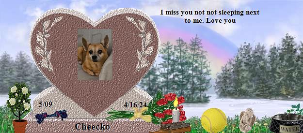 Cheecko's Rainbow Bridge Pet Loss Memorial Residency Image