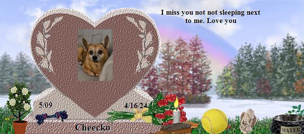 Cheecko's Rainbow Bridge Pet Loss Memorial Residency Image