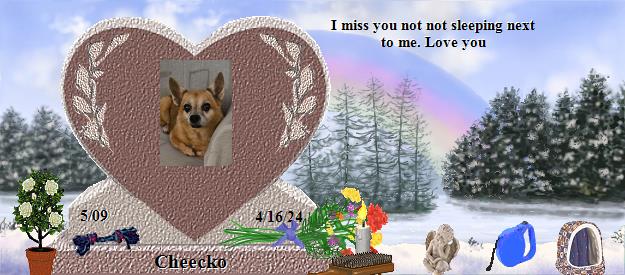 Cheecko's Rainbow Bridge Pet Loss Memorial Residency Image