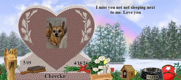 Cheecko's Rainbow Bridge Pet Loss Memorial Residency Image