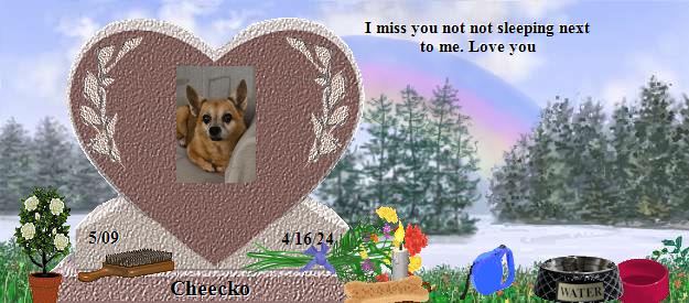 Cheecko's Rainbow Bridge Pet Loss Memorial Residency Image
