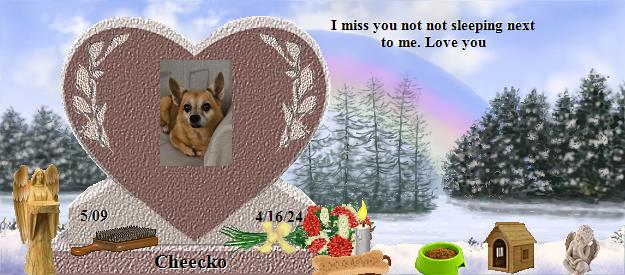 Cheecko's Rainbow Bridge Pet Loss Memorial Residency Image